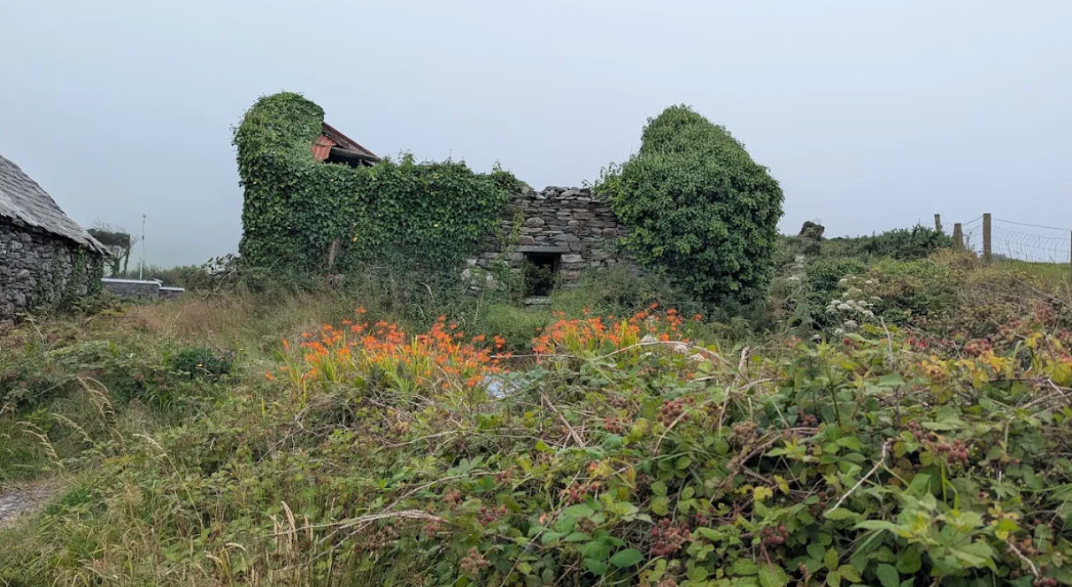 Dunmanus Castle, Ireland